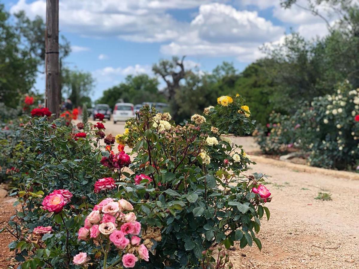 Tenuta La Milogna Gallipoli Buitenkant foto
